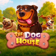The Dog House Megaways — слот Pragmatic Play